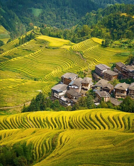 Terraced rice fields, traditional houses, and a mountainous landscape. 1