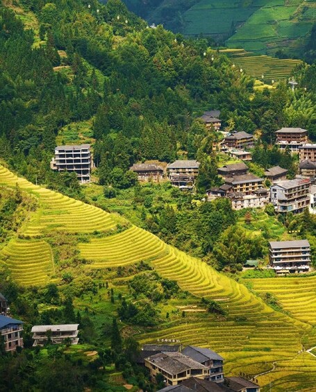 Terraced rice fields, traditional houses, and lush greenery in a hilly landscape. 5