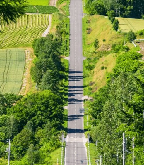 A straight road flanked by green fields and trees. 3