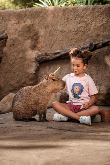 A child sitting on the ground next to a capybara. 4