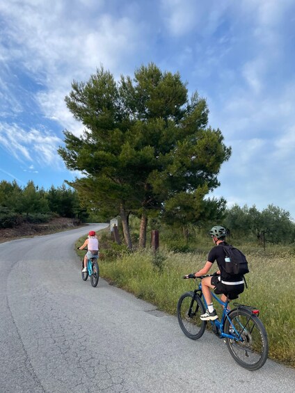 Picture 20 for Activity Halkidiki Kassandra South Guided E-Bike Tour 2