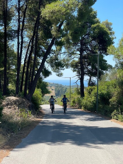 Picture 16 for Activity Halkidiki Kassandra South Guided E-Bike Tour 3