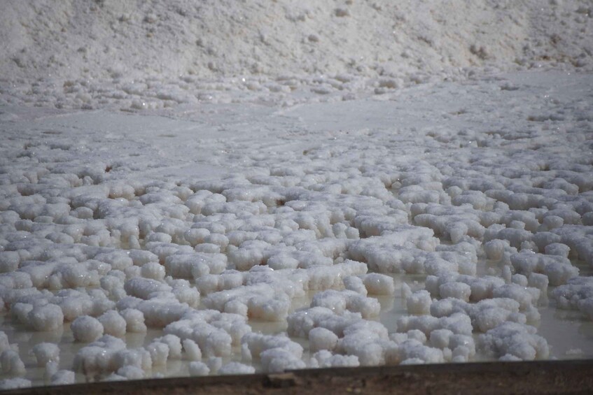 A large quantity of white, spherical objects in a liquid environment. 4