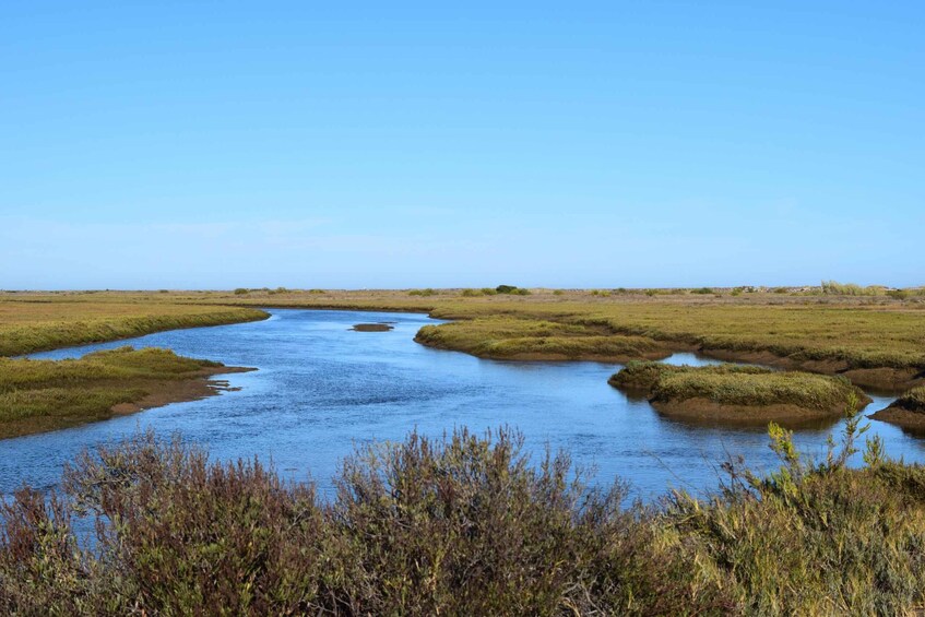 A river meandering through a marshy landscape with sparse vegetation. 4