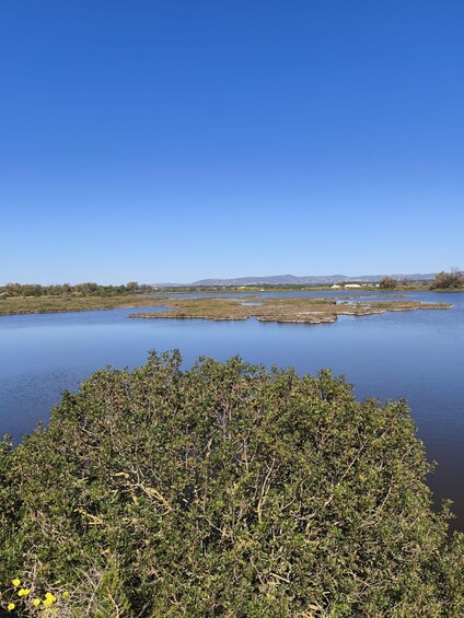 A calm lake with clear blue water, surrounded by dense shrubbery and distant hills. 2
