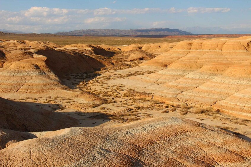 A desert landscape with eroded hills and a distant mountain range. 3