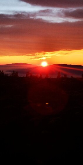 A sunset over a mountainous landscape with a visible sun and silhouetted trees. 5