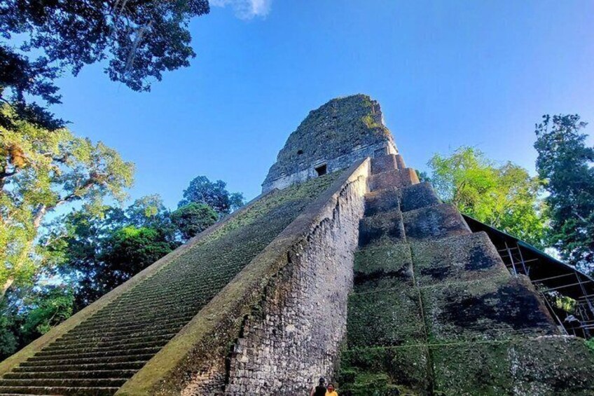 A pyramid with a staircase leading to its peak, surrounded by trees. 5