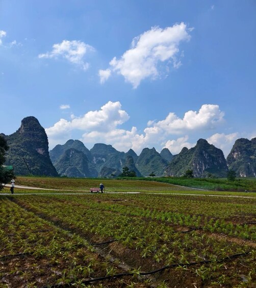 A rural landscape with terraced fields and limestone karst mountains under a clear sky. 3