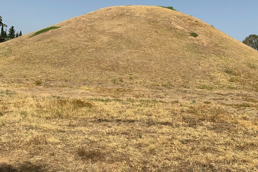 A dry, grassy hill with sparse vegetation. 2