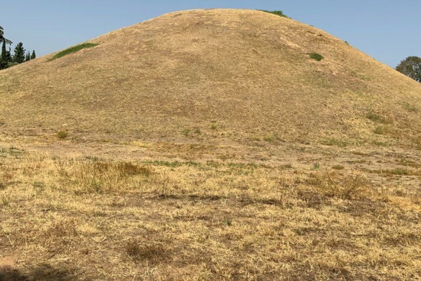 A dry, grassy hill with sparse vegetation. 2