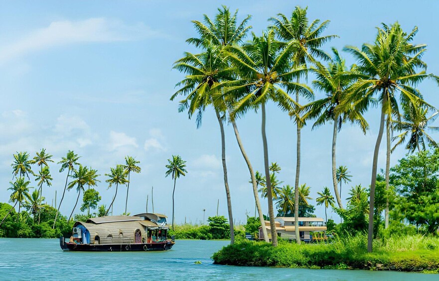 A houseboat on a calm river, surrounded by tall palm trees and lush greenery. 1
