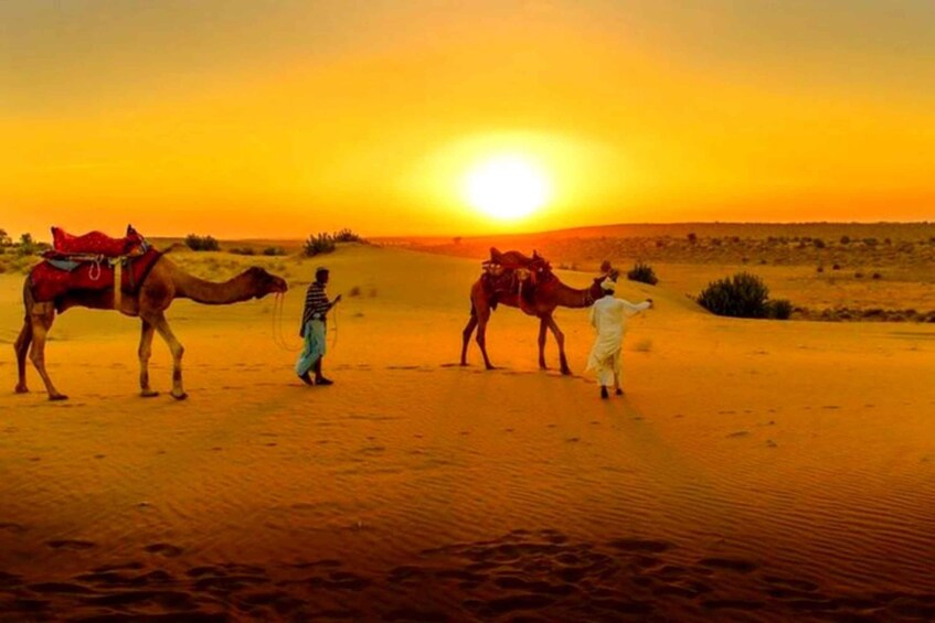 A desert landscape with camels and people during sunset. 1
