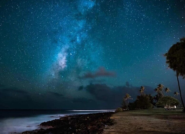 A starry night sky over a coastal landscape with palm trees and a rocky shoreline. 5