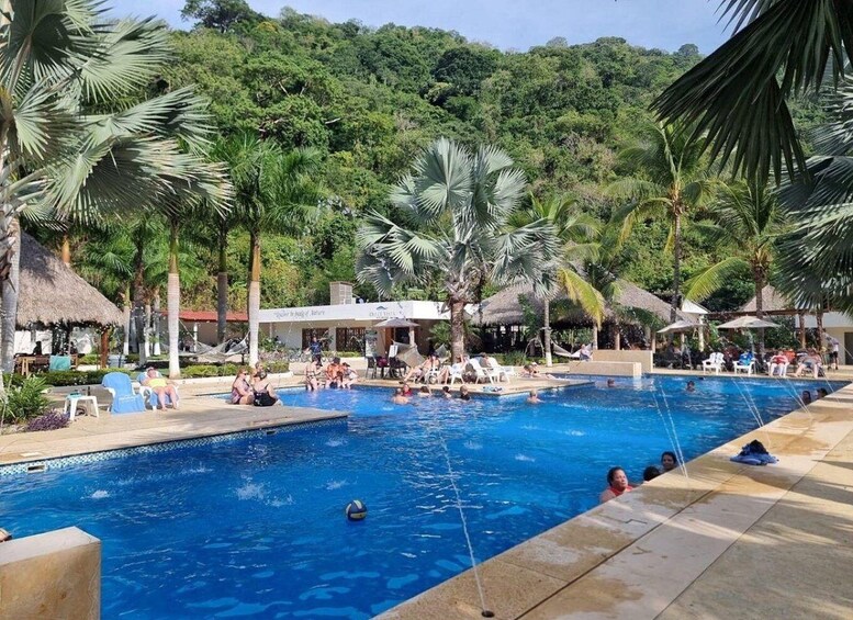 A pool surrounded by palm trees and thatched-roof structures. 5