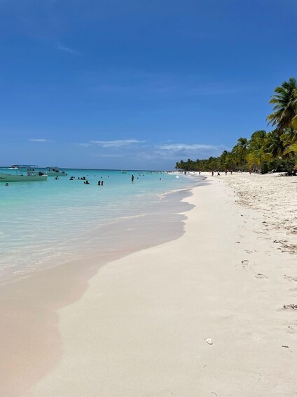 A beach with clear turquoise water, white sand, and palm trees. 2