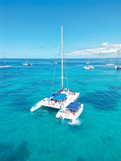 A clear blue sea with several sailboats anchored. 1
