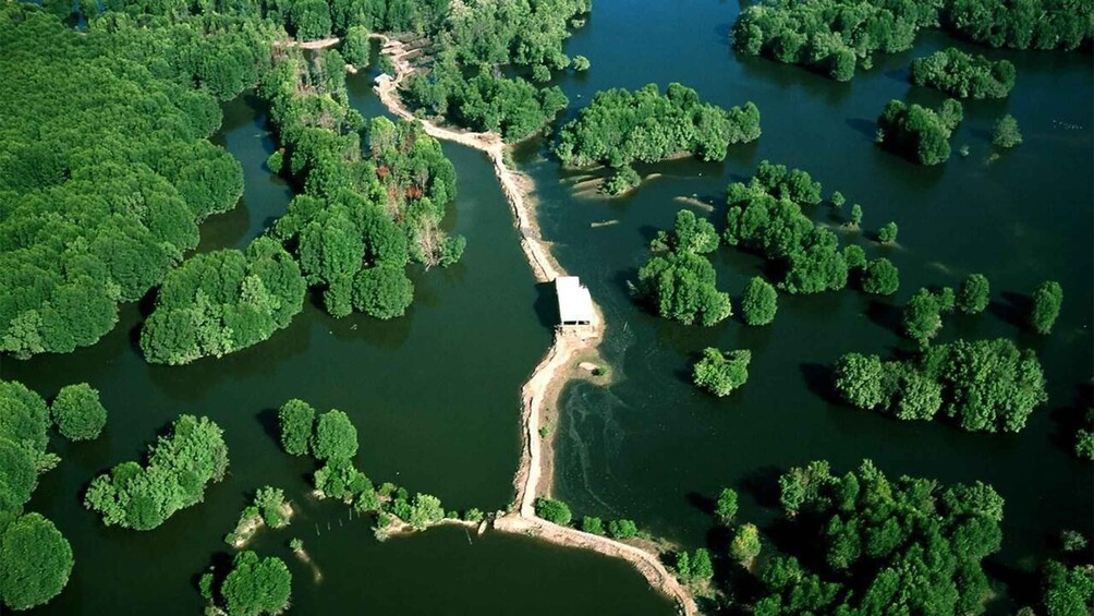 An aerial view of a river with dense green vegetation and a white boat docked along the riverbank. 1