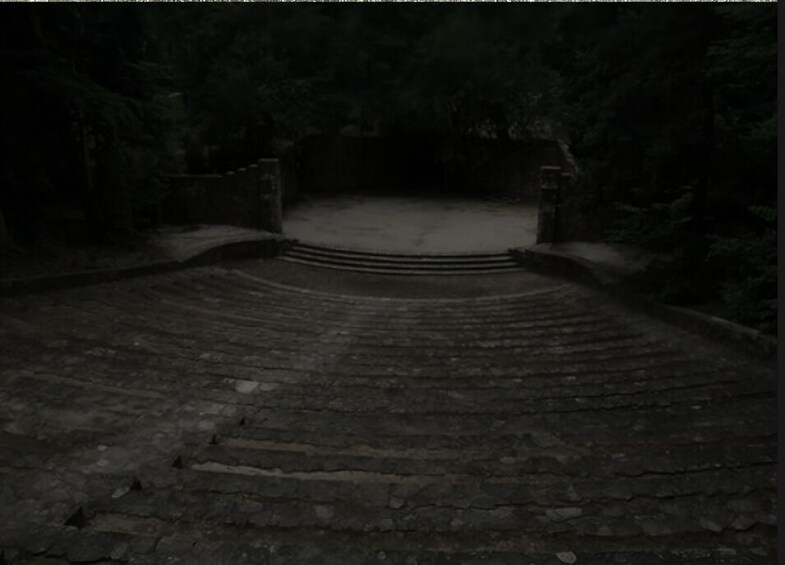 A stone staircase leading up to a gate in a wooded area. 3