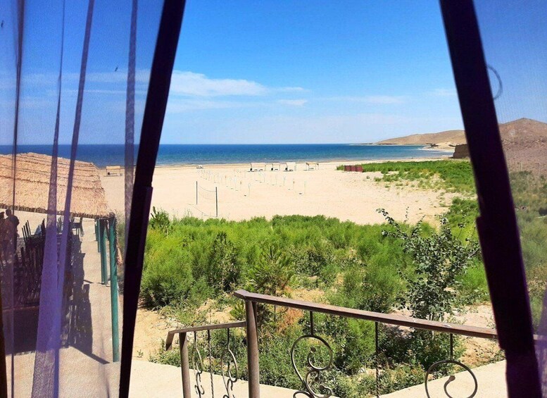 A beach with a clear sky, a fence, and some greenery in the foreground. 2