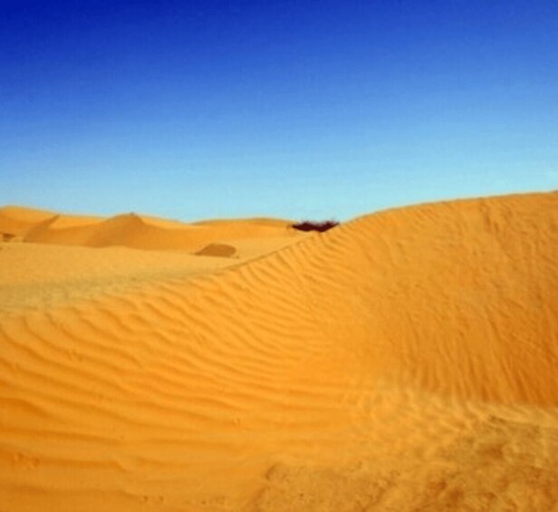 A desert landscape with sand dunes under a clear blue sky. 3