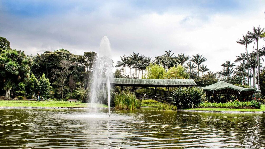 A fountain in a park with palm trees and a gazebo. 4