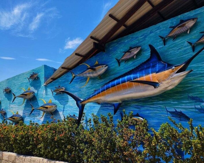 A mural of various fish on a building wall. 4