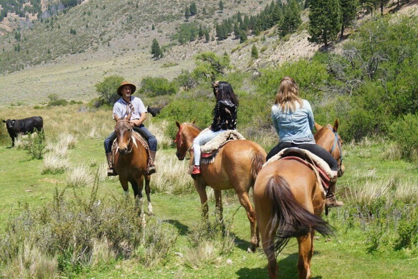 Three people horseback riding in a grassy field with a cow in the background. 3