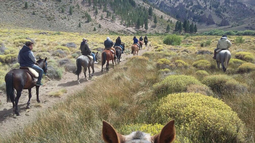 A group of people horseback riding on a trail through a mountainous area with sparse vegetation. 1