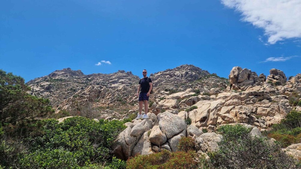 A person standing on a rocky outcrop with a mountainous landscape in the background. 4