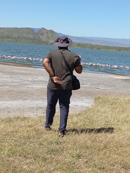 En person står på en gräsyta vid ett vattendrag, med flamingos i fjärran och berg i bakgrunden. 4