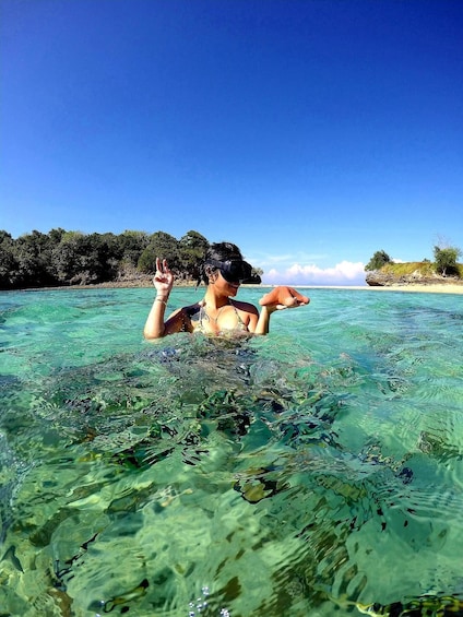 A person swimming in clear turquoise water with a beach and vegetation in the background. 3