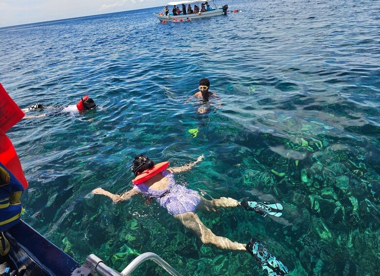 People snorkeling in clear blue water with a boat in the background. 5