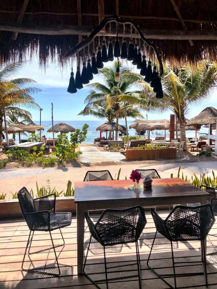 A beachside restaurant with outdoor seating, palm trees, and a view of the ocean. 3