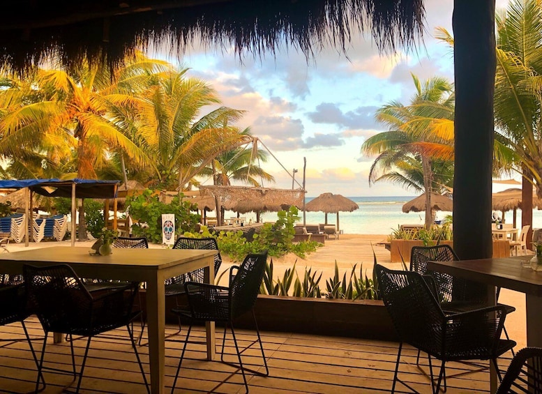 A beachside restaurant with outdoor seating, palm trees, and a view of the ocean. 5