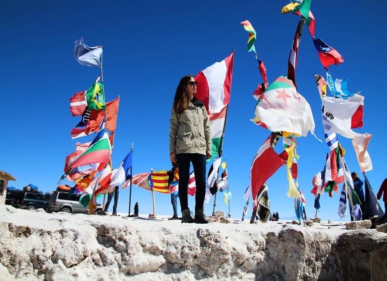 A person standing amidst numerous flags on a snowy landscape. 5