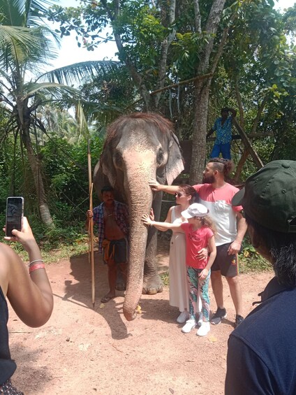A group of people interacting with an elephant in a natural setting. 3