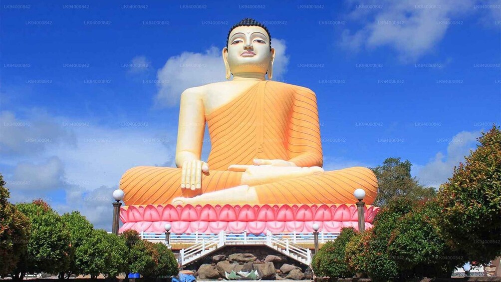 A large seated Buddha statue with a lotus base, surrounded by trees and a clear sky. 1