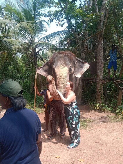 A person interacting with an elephant in a forested area. 4
