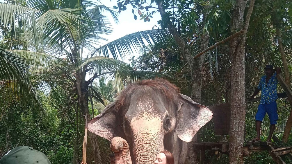 Picture 13 for Activity City Tour: Discover Aluthgama with Thrilling Adventures 2