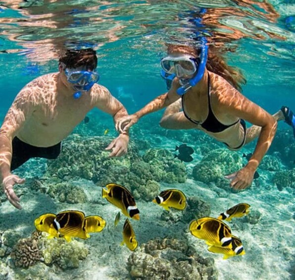 Dos personas haciendo snorkel bajo el agua con peces tropicales. 4
