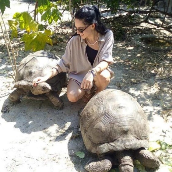 Picture 7 for Activity ZANZIBAE; Wildlife explore at kilosa zoo + pck up 4