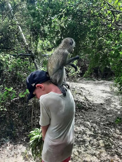 Picture 16 for Activity ZANZIBAE; Wildlife explore at kilosa zoo + pck up 3