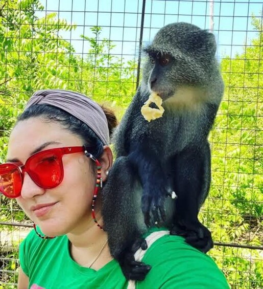 Picture 2 for Activity ZANZIBAE; Wildlife explore at kilosa zoo + pck up 2