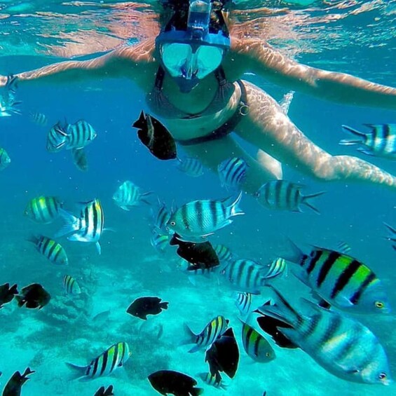 Una persona nada bajo el agua con un snorkel y máscara, rodeada de peces de distintas rayas. 3