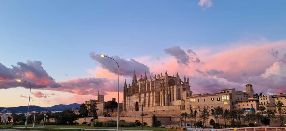 A historic cathedral with intricate architecture, surrounded by palm trees and a clear sky. 5