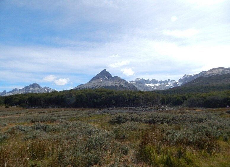A mountainous landscape with a prominent peak, dense forest, and a clear sky. 2