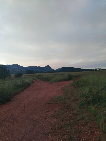 A dirt road winding through a grassy field with distant hills under a cloudy sky. 3