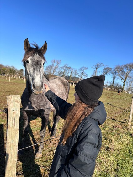 A person interacting with a horse near a wooden fence in a grassy field. 3