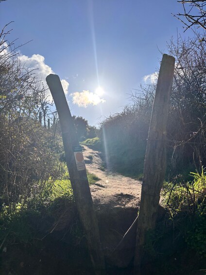 A dirt path flanked by vegetation and wooden posts, leading towards a bright sun. 2